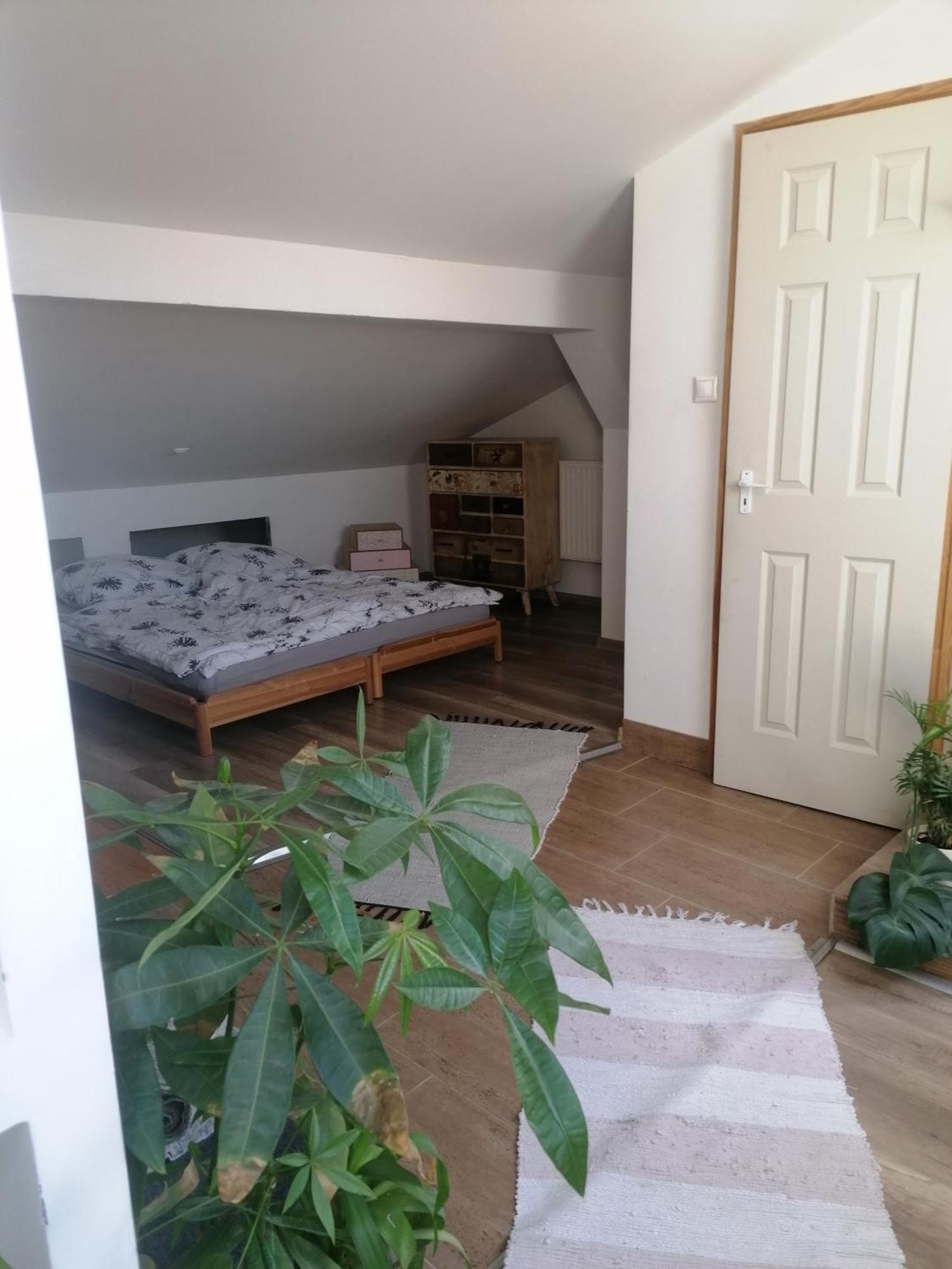 Ujkapu Sunshine Apartments ジュール 部屋 写真